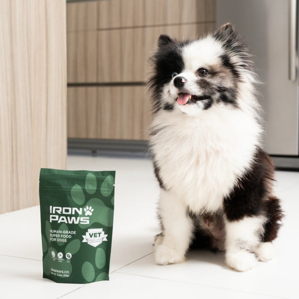 lron Paws Premium Dog supplement