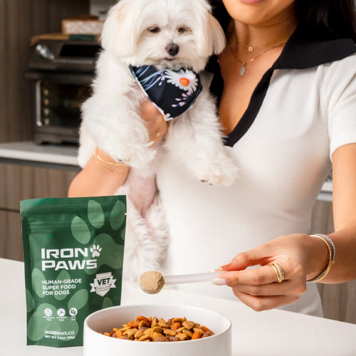 lron Paws Premium Dog supplement